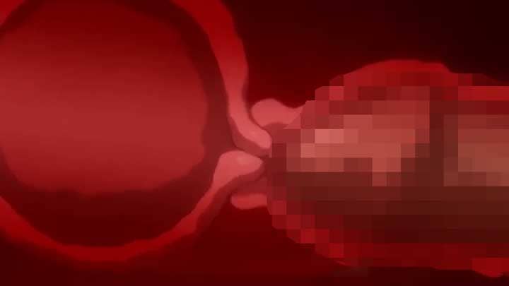 【エロアニメ】潔癖お嬢様崩壊...嫌悪していたはずの肉棒に貫かれ、処女喪失の激痛が極上の快楽へ！高慢な態度が阿鼻叫喚の喘ぎに変わる堕落の記録。