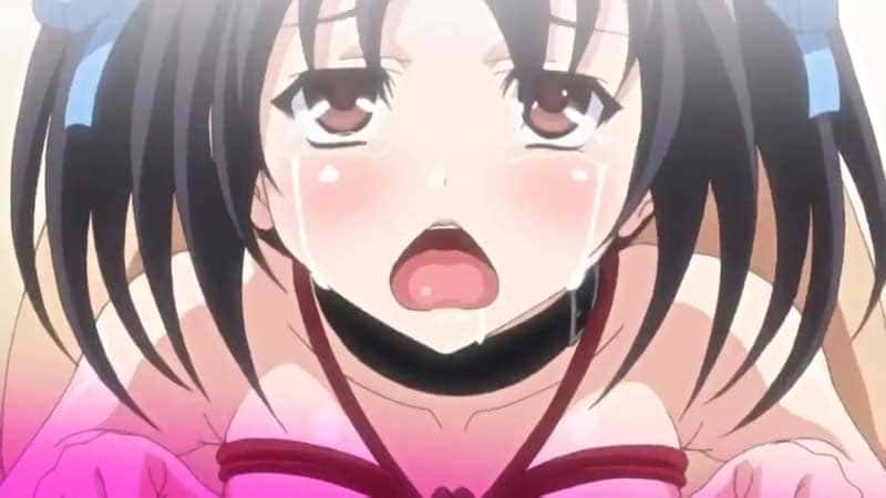 地味で大人しい写真部員の教え子は僕の恋人…のはずが、歪んだ愛情は彼女に首輪を付けさせ、ドス黒い欲望のまま玩具と極太の肉棒で快楽を刻み込む調教愛へと変貌した。