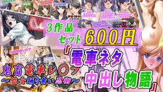 【エロ同人】【3作品セット600円】「電車ネタ中出し物語」