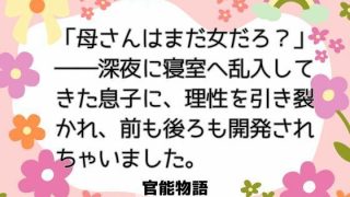 【エロ同人】「母さんはまだ女だろ？」――深夜に寝室へ乱入してきた息子に、理性を引き裂か…