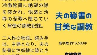 【エロ同人】主婦の秘めごと 〜夫の秘書の甘美な調教〜