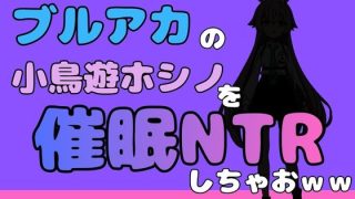 【エロ同人】中年デブハゲチビの俺が『ブルーアーカイブ』の小鳥遊ホシノを睡眠NTRしちゃ…