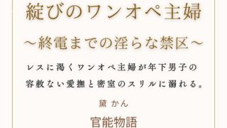 【エロ同人】綻びのワンオペ主婦  〜終電までの淫らな禁区〜