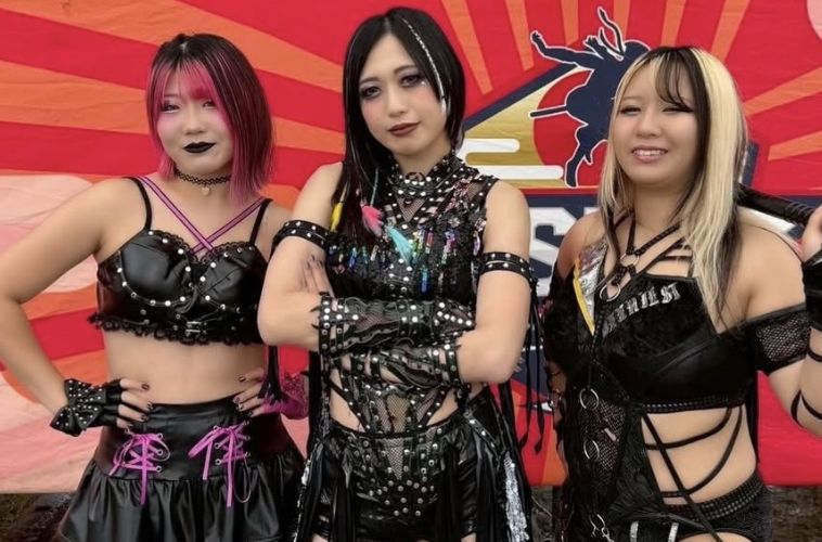 【画像】最近の女子プロレスの悪者軍団、なんかちょうどいいと話題にｗｗｗｗｗｗｗｗｗｗ