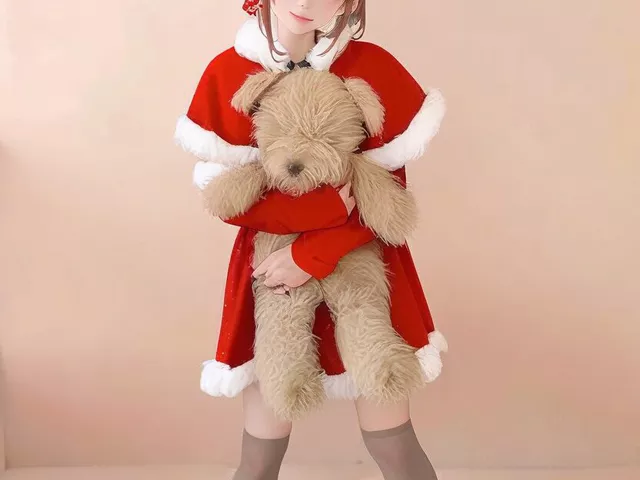 イブの夜、僕は彼女になった【TSF、入れ替わり】