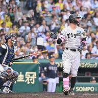 【エグい】阪神が圧勝！中軸の破壊力が異常ｗ