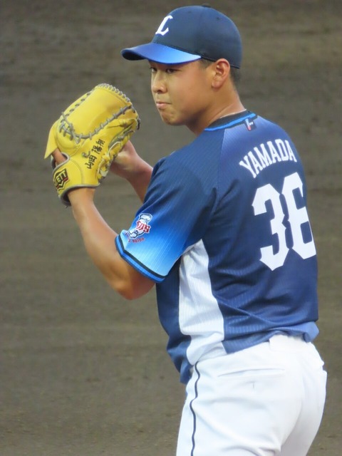若獅子たちの挑戦者たち：西武の若手選手たちが示す未来