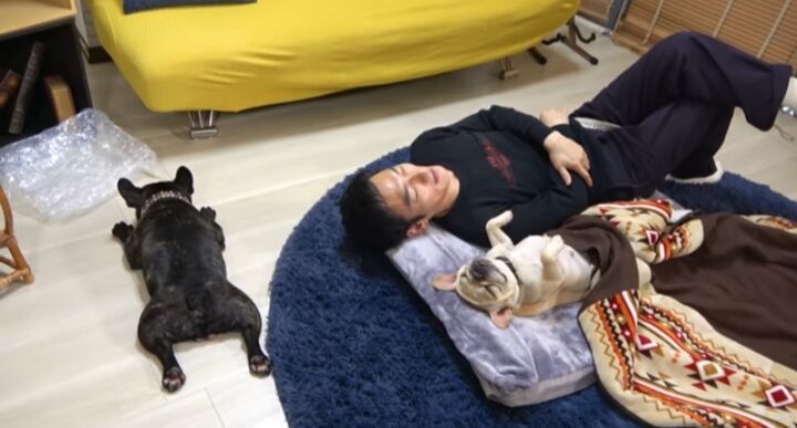 【マスコット的な存在…】草彅剛、愛犬に別れを告げたでwwww心の奥底で何を感じたんや？