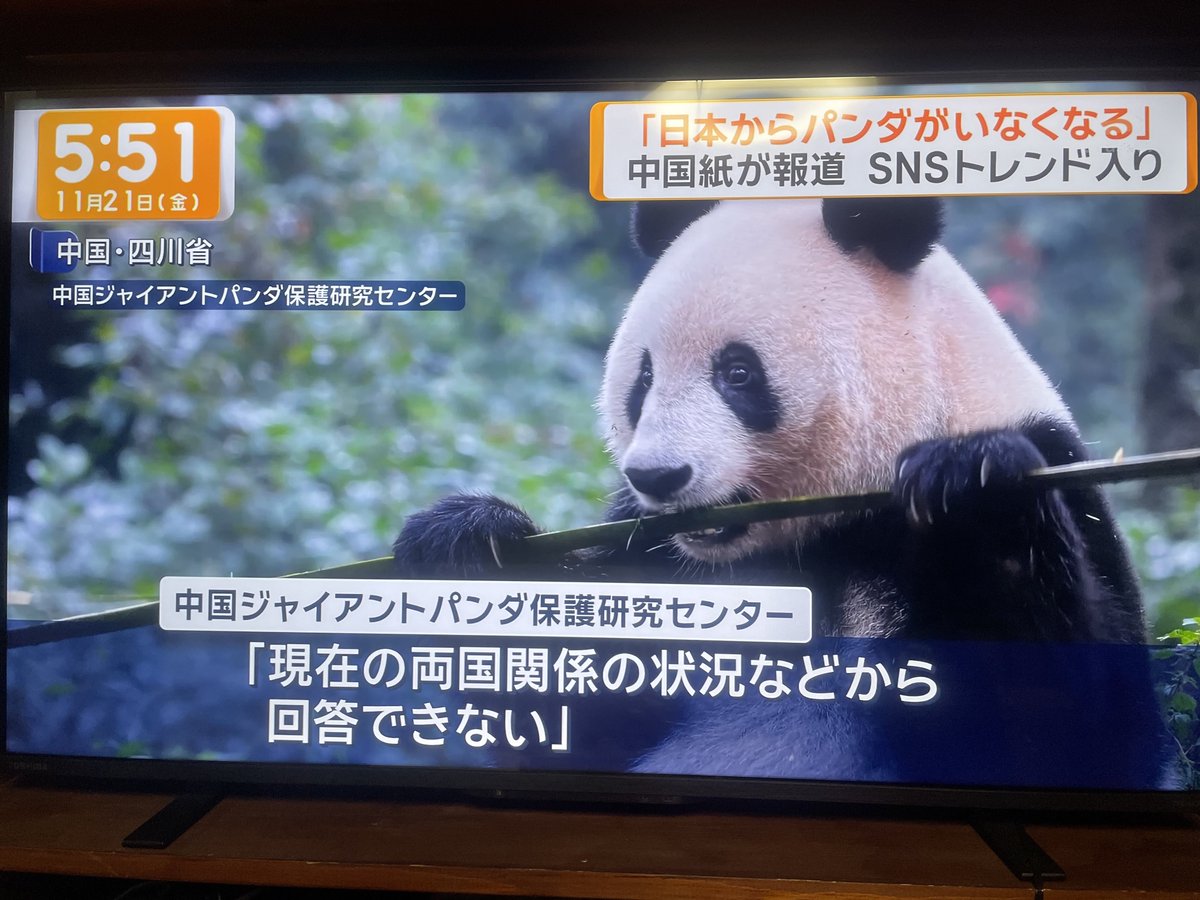 「もう上野でパンダ見れなくなるの？」中国メディアがガチで警告→高市発言の余波がヤバすぎる