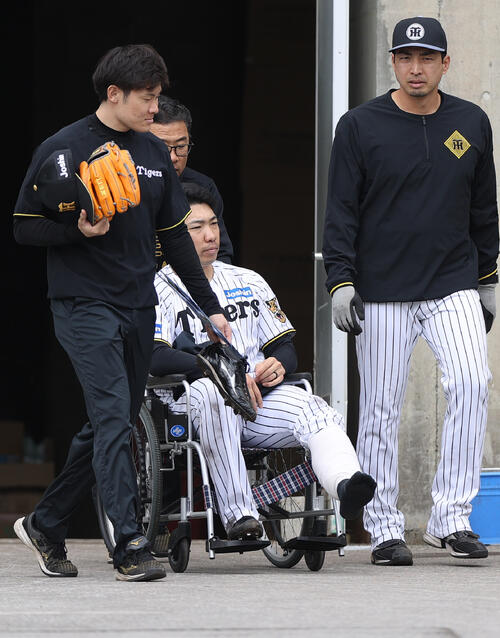 【号泣】藤川監督が1分絶句…石井大智アキレス腱損傷でWBC辞退