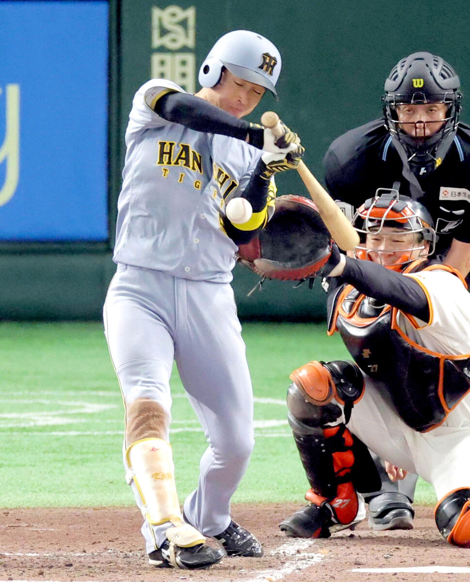 阪神近本の骨折診断に絶句！スピードスター長期不在で胃痛すぎる悲報