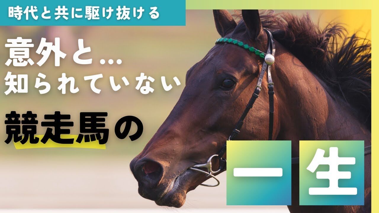 年7000頭引退馬が行方不明…愛情知る馬の残酷最期に悔しさ爆発