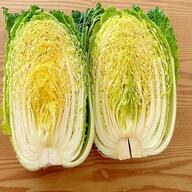 鍋【ダイエット】鍋で締め食べたら激太り!?