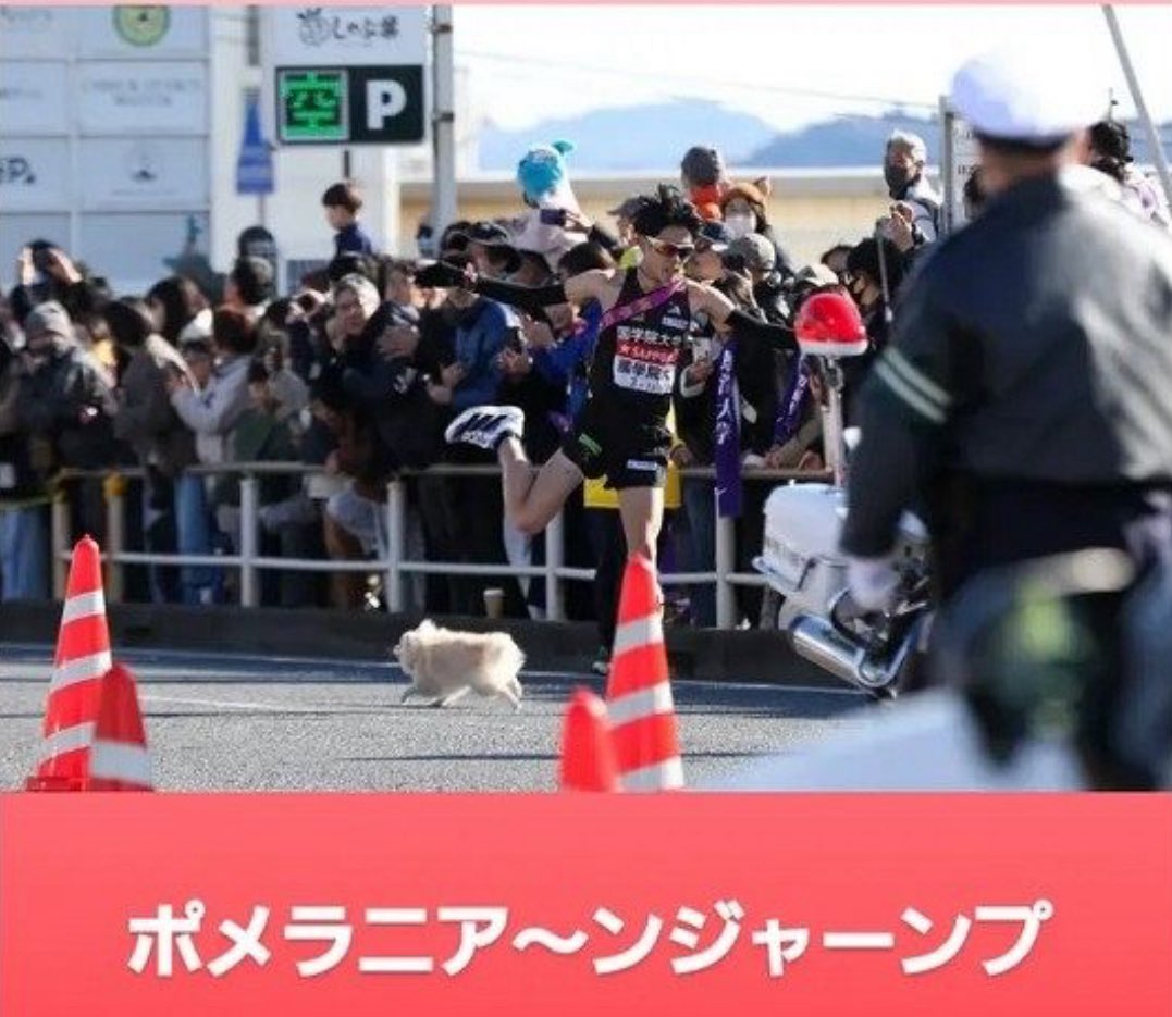 【犬に罪はない…箱根駅伝】「ポメラニア〜ンジャアーンプ」の国学院野中が明かす…バランスが崩れ足つった。ペース上がらず動揺！