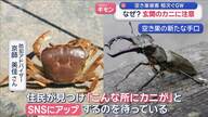 【悲報】GWで空き巣急増、留守バレで狙われる家続出ｗｗｗ