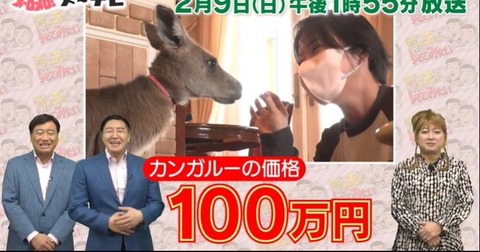 チョコプラ、夢グループ石田社長とまさかのコラボ　カオスな動画に「公式で何してんww」「まじで似すぎ」　 #チョコレートプラネット #長田庄平 #松尾駿