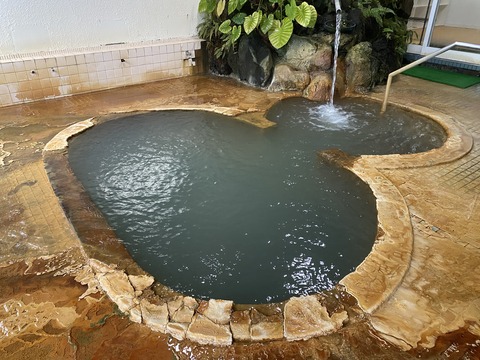 青森県の魅力溢れる三大温泉地特集（浅虫温泉・大鰐温泉・奥入瀬渓流温泉）