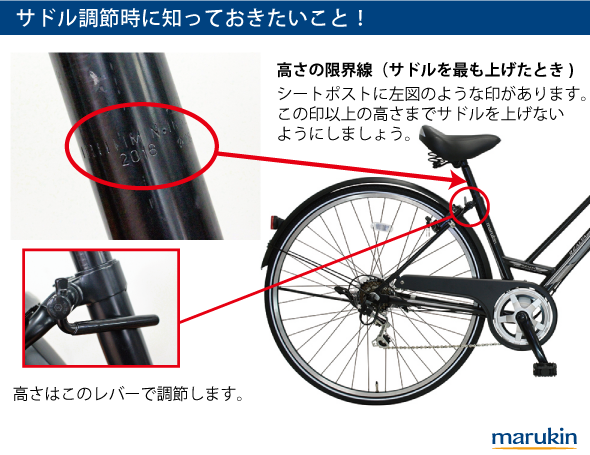 専門家のアドバイス：サイクリングの秘訣は「サドルを高く」に設定する理由とは？