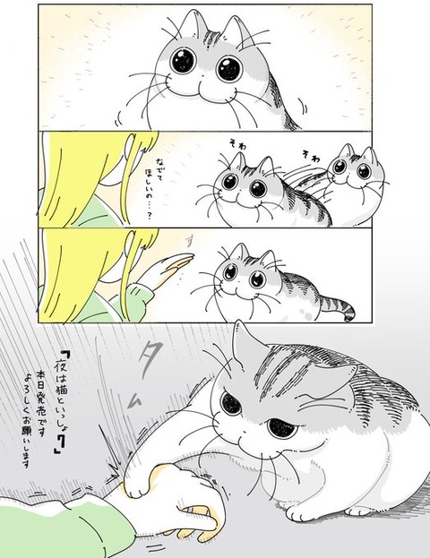 【猫の日】夜は猫といっしょ × ドンキ 2月22日よりキュルガ登場「発売日：2025年2月22日より順次発売」