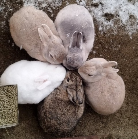 日本全国の魅力溢れる動物園巡り