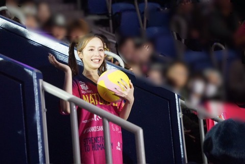 今って水樹奈々、平野綾、田村ゆかりみたいなアイドル声優の顔役みたいな人が居ないよな