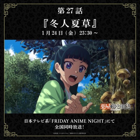 薬屋のひとりごと楽しく観てんだけどこれさ