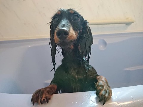 るんるん…あっ????????????