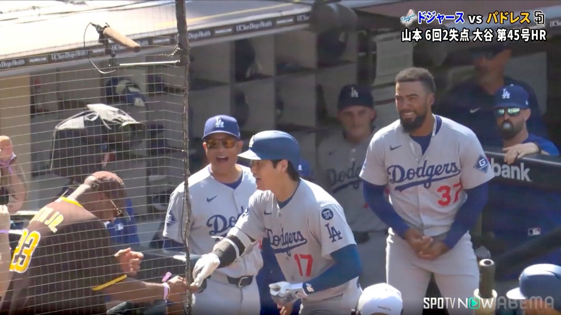 大谷翔平、ヤジ飛ばすファンにハイタッチ＆肩ポンポン　MLB公式Ｘが本塁打後の珍行動を公開