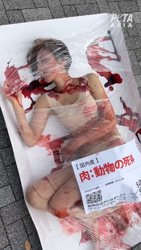 【動画】ヴィーガンさん、肉フェスに猛抗議ｗｗｗｗｗｗｗｗｗｗｗｗｗｗｗｗｗｗｗｗｗｗ