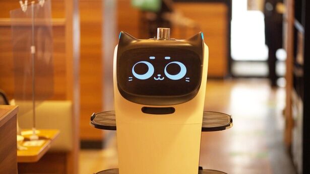 【炎上】しゃぶ葉、猫ロボ運搬中の料理「横取り」Xで炎上！運営会社は謝罪・改善へ