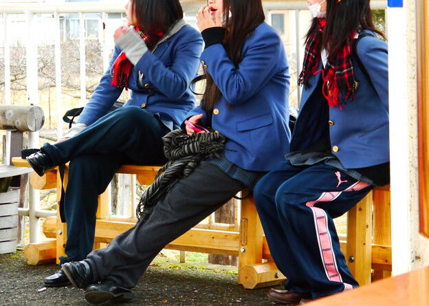 「はにわルック」に激高、女子生徒の頭髪つかみズボン脱がせる！大阪府立高の教諭減給