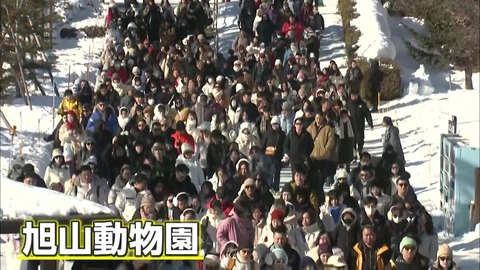 【春節】旭山動物園に中国人観光客殺到！小樽では“危険撮影”も問題視！