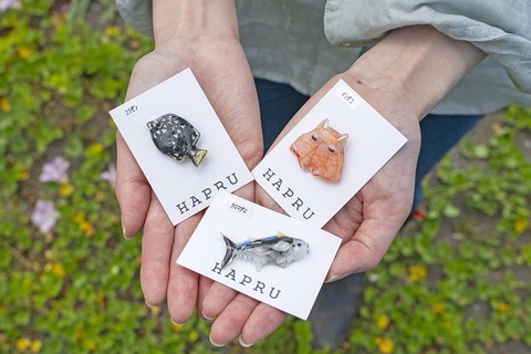 羽幌の海鳥と未来を紡ぐ。ごみを宝物に変えるアクセ作家の挑戦！