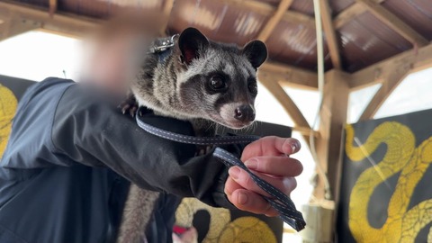 【北海道】ノースサファリ閉園で行き場を失う動物たち…どうなる？
