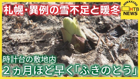 【異常】札幌の時計台に“ふきのとう”出現！例年より2ヶ月早い春の兆し！