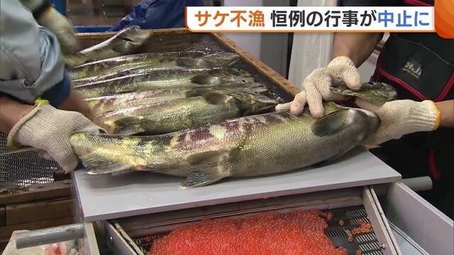 【北海道北海道サケ漁に異変…頭部なし個体続出で漁師悲鳴wwww