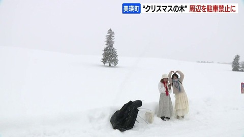 【北海道・美瑛】「クリスマスツリーの木」 路外滑落事故も発生…