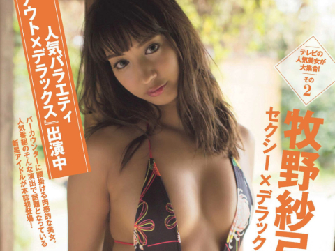 牧野紗弓さん画像集295枚【水着】