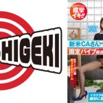 新米 CA さん固定バイブ超過激リポート！ 2 アナウンス原稿を読み切ることができた100 万円！断念したらガニ股黒パンストに即ズボ罰ゲーム みさきさん(28歳)CA歴1年