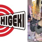 池袋のハロウィンで見つけたパリピが挑戦！巨乳の彼女が何をされても我慢できれば100万円ノーリアクションゲーム！美巨乳ウルフちゃん